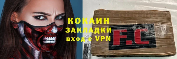 сатива Богданович